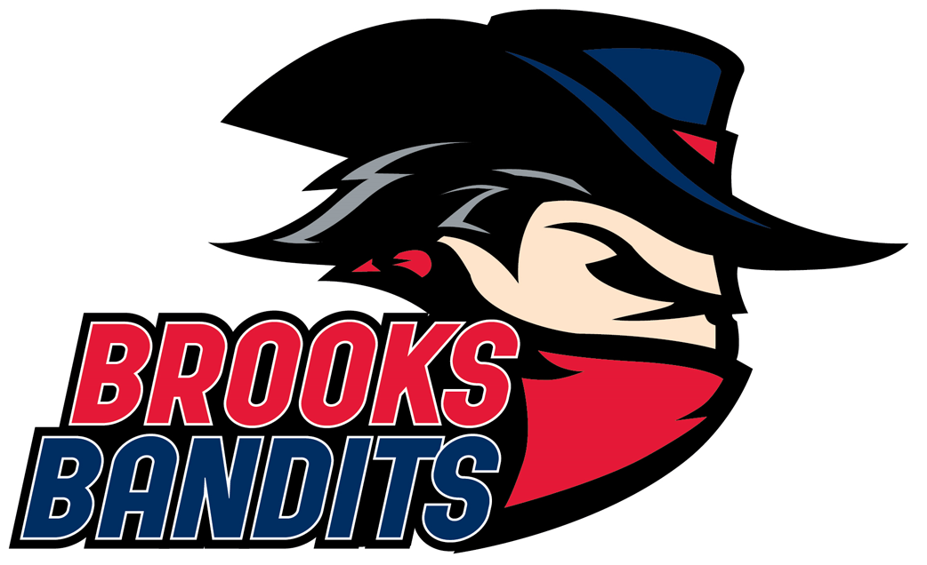 Brooks Bandits 2013-Pres Primary Logo iron on heat transfer